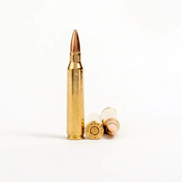 223 Rem – 55 gr FMJ-BT – PMC (223A) – 1000 Rounds - Image 3