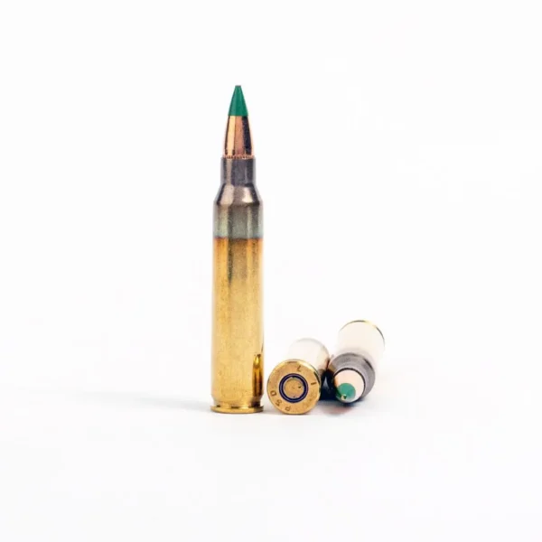 5.56x45mm – 62 gr FMJ M855 – PMC Battle Packs (5.56K-BP) – 600 Rounds - Image 2