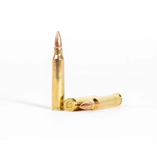 223 Rem – 55 gr FMJ-BT – PMC Battle Packs (223A-BP) – 1000 Rounds - Image 5