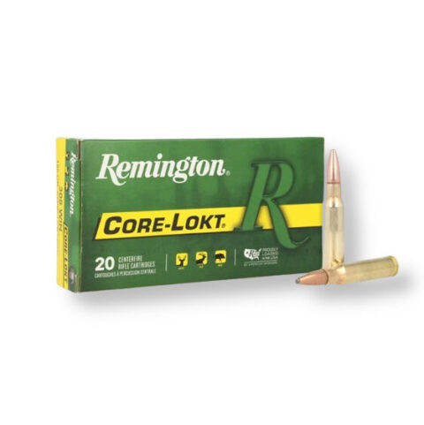 308 Win – 180 gr PSP – Remington Core-Lokt (21479) – 200 Rounds