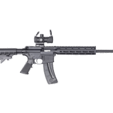 Smith and Wesson M&P15-22 Sport with Red/Green Optic .22 LR 16.5-inch 25Rds