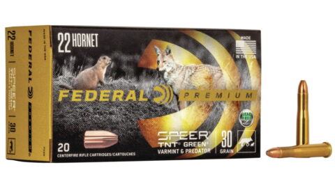 Federal Premium V-SHOK .22 Hornet 30 grain Speer TNT Green Hollow Point Centerfire Rifle Ammunition P22D Caliber: .22 Hornet, Number of Rounds: 500