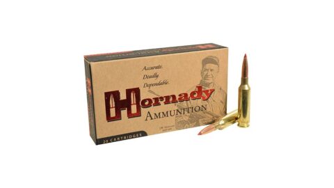 Hornady Match 6mm Creedmoor 108 Grain Extremely Low Drag Match Centerfire Rifle Ammunition 500 ROUNDS