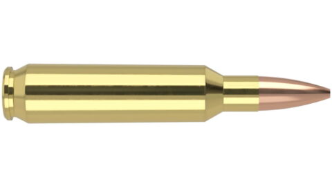 Nosler Math Grade .22 Nosler 77 Grain Custom Competition Brass Cased Centerfire Rifle Ammunition 60016 Caliber: .22 Nosler, Number of Rounds: 500