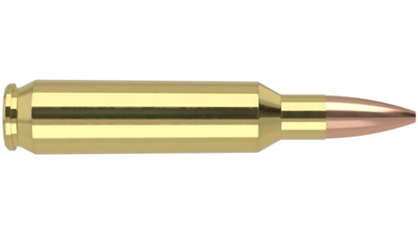 Nosler Math Grade .22 Nosler 77 Grain Custom Competition Brass Cased Centerfire Rifle Ammunition 60016 Caliber: .22 Nosler, Number of Rounds: 500