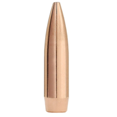 Factory Second 22 Caliber (224 Diameter) Bullets 55 Grain Hollow Point