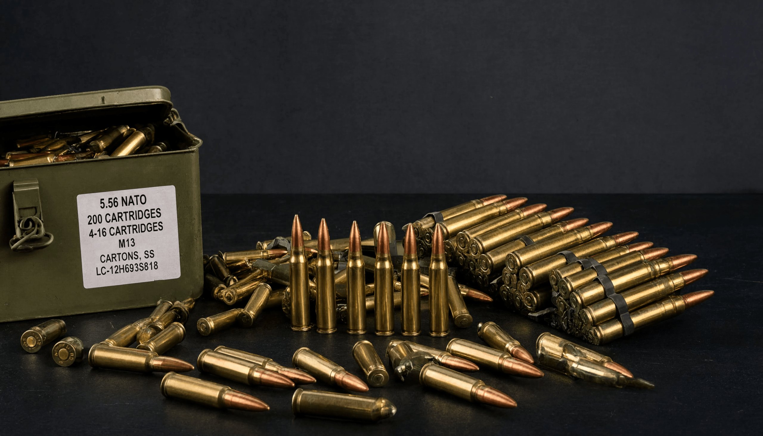 Bulk .223 and 5.56 ammo for AR-15 range training